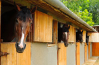 free Perranporth stable construction quotes